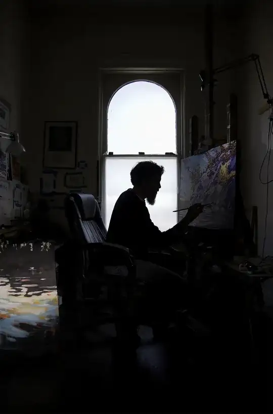 portrait of an artist against a bright window