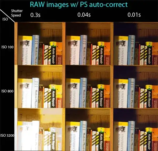 RAW images w/ PS Auto-Correct
