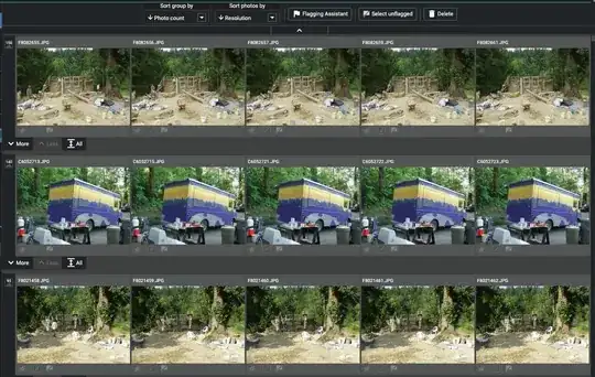 Duplicate result set.