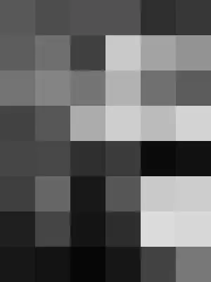 Gray Pixelated Diagram