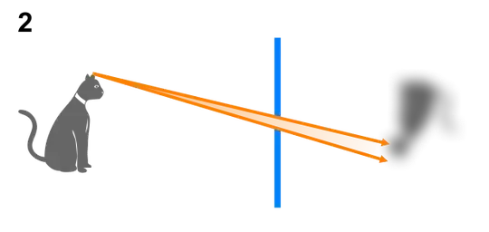 cat projected thru a pinhole