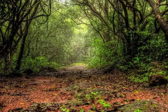 Phansad Wildlife Sanctuary, Maharashtra, India