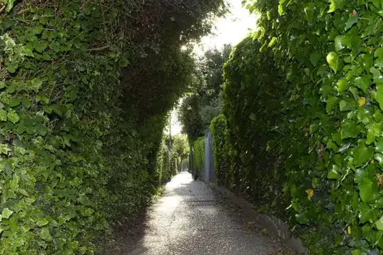 Picture from Nikon D5600