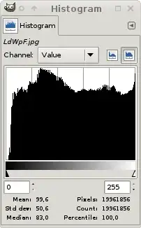 Histogram of photo with children