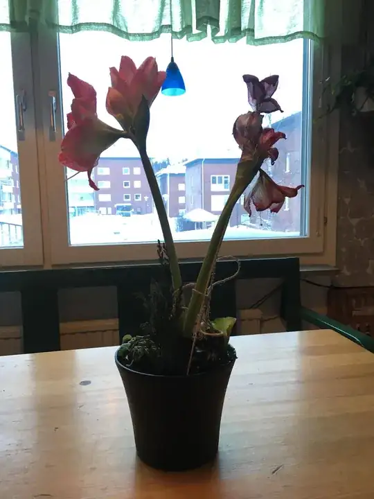 taken with iPhone SE