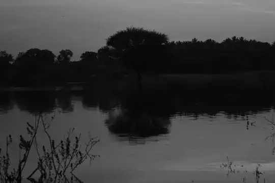 sensor pixels visible in photo