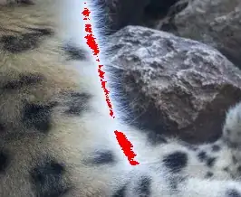 whites displaying as red pixels