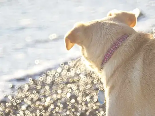 Same lens, without the focal reducer.