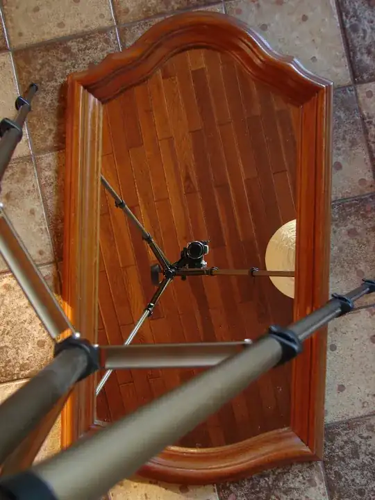 Mirror image picturing the cam