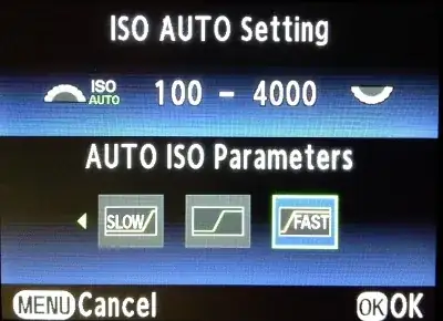 Auto ISO Parameters UI