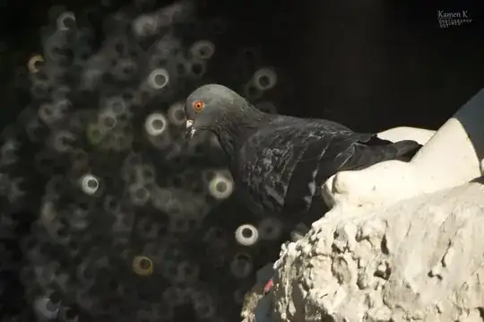 Pigeon mirror lens