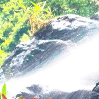 JPG converted image crop