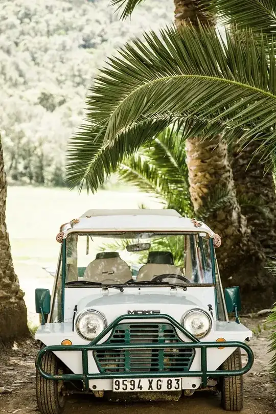 "Mini Moke"