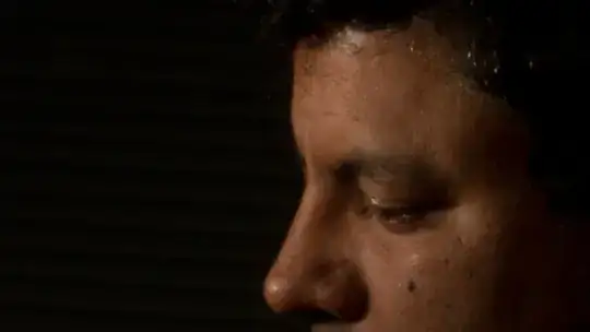 portrait F/29 ISO100 1/250 