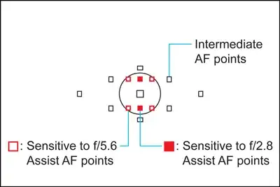 Canon EOS 5D Mark II AF array
