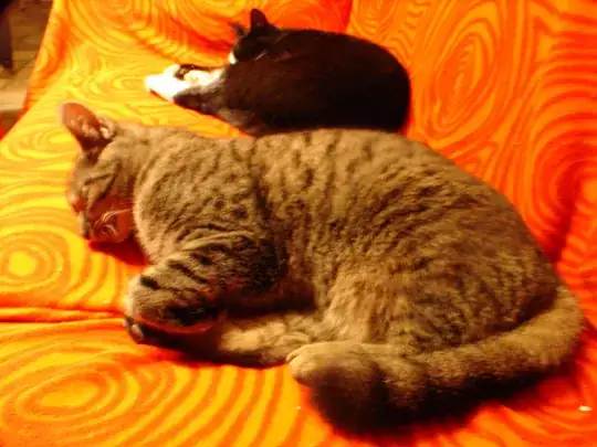 Wide angle cats right to left