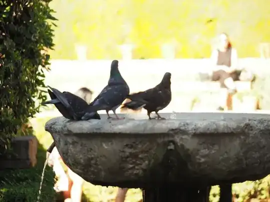 Sunny day in the shade