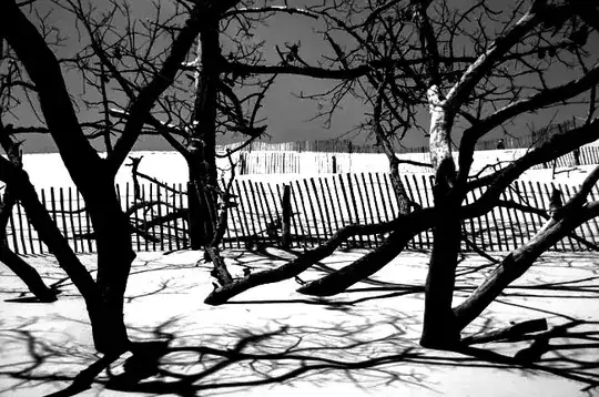 black and white image of trees and sand dunes