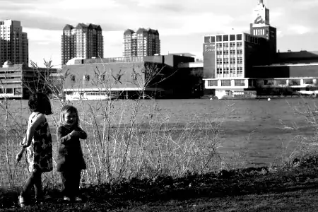 straight curve image