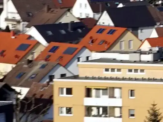 crop from far left of image