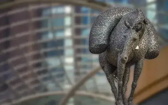 flipped and vignetted image