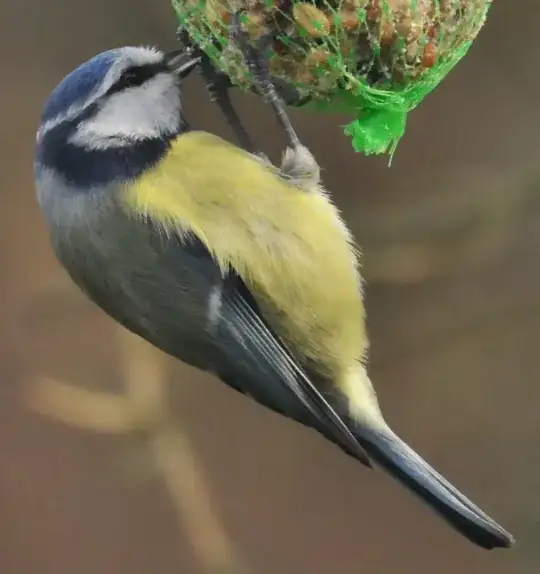 central third of an APS sensor image with a FSQ106ED at 840mm