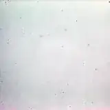 dust with enhanced contrast