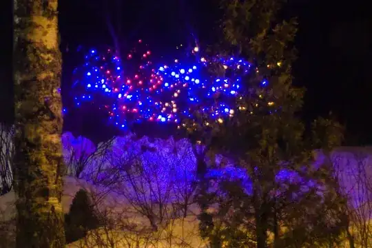 RawTherapee-processed RAW file