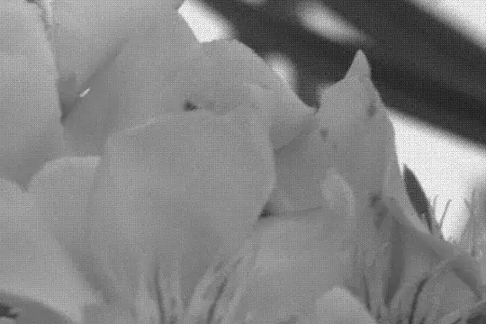 1:1 crop of the dcraw -d -r 1 1 1 1 version