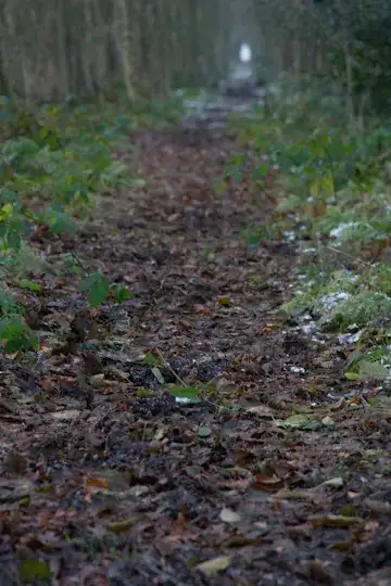 Source image for WB sync