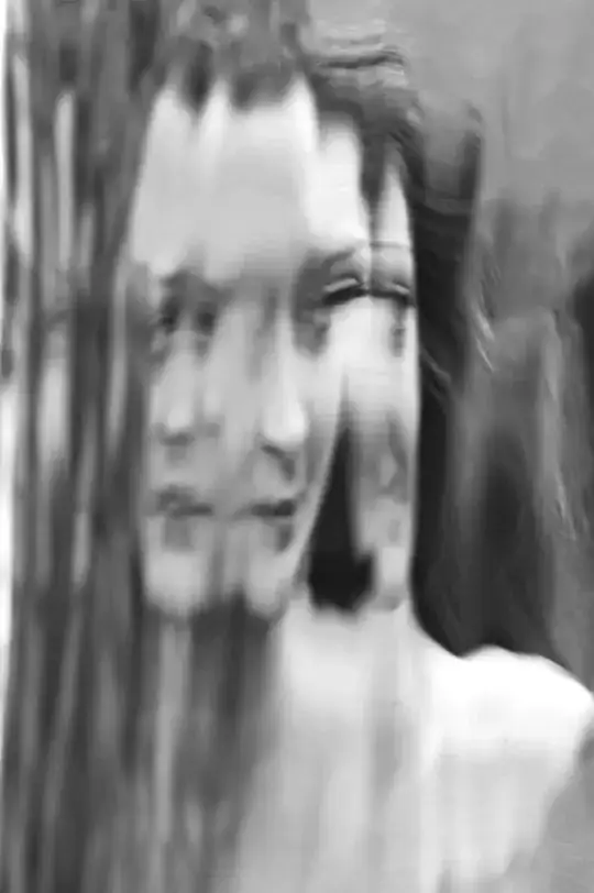 Picasso in Four Dimensions