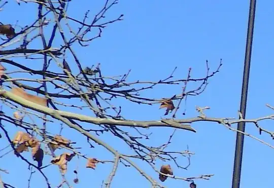 The camera generated photo (detail)