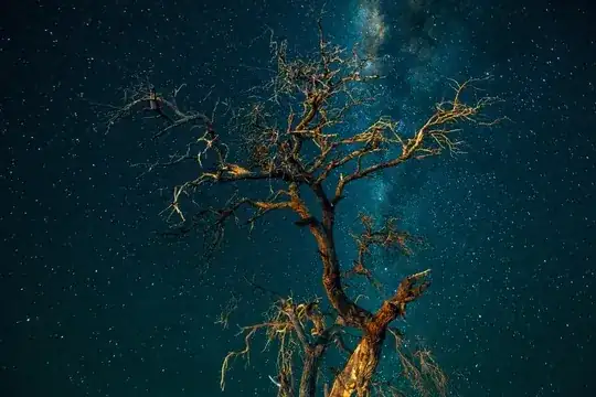 Image taken by James Sainty