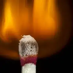 Chemical Reaction