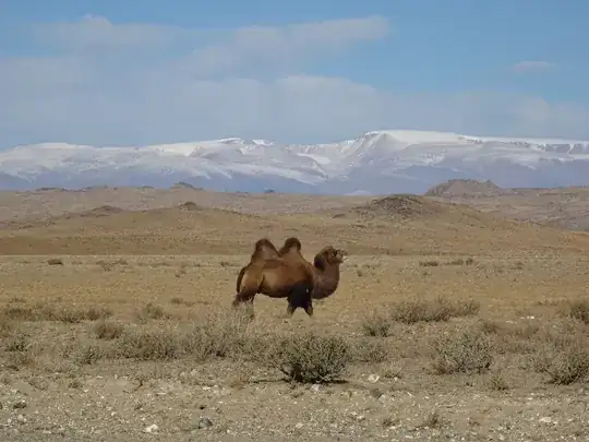 Original camera image scaled for upload