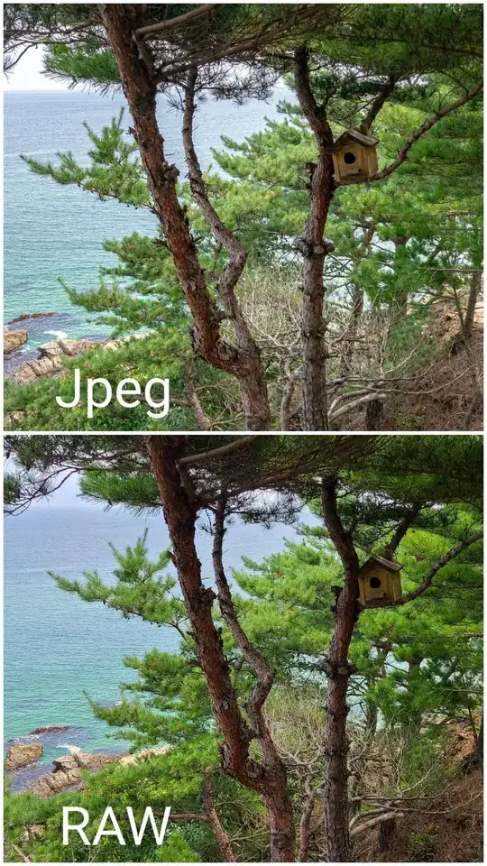 raw Vs jpeg