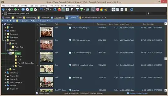 Images sorted by column Image Hash in XYplorer