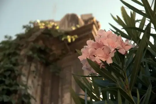 xtrans colorized, naïve block demosaicking + auto-levels