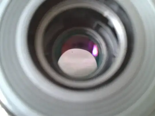 Actual lens assumed 'tiny chip'