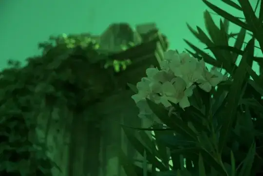 full image from dcraw -d -r 1 1 1 1 with xtrans colorization