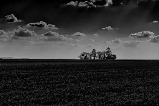 low key photo of Westerberg near Ingelheim in Germany