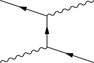 e^+ gamma -> e^+ gamma