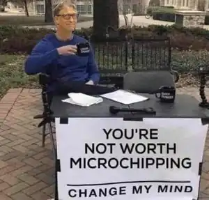 BillGatesChip.jpeg