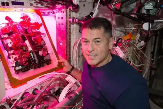 Shane Kimbrough with Veggie plant pillows