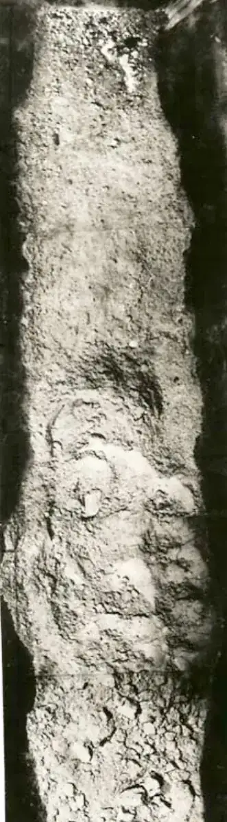 Luna 16 lunar sample