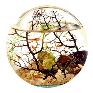 ecosphere