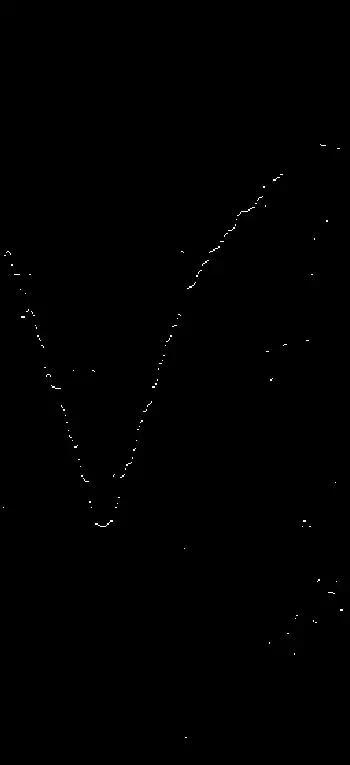 white detected curve