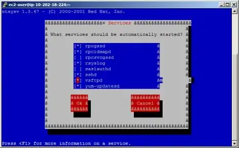 complete Twitter json document