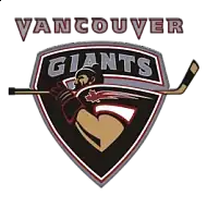 project directory image