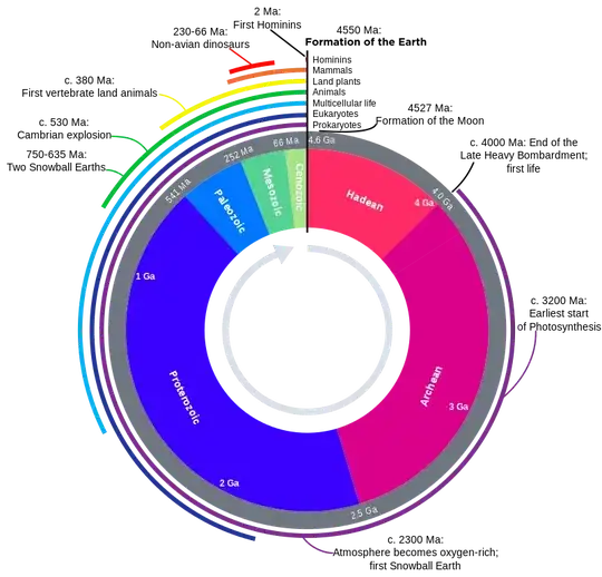 screenshot of the settings